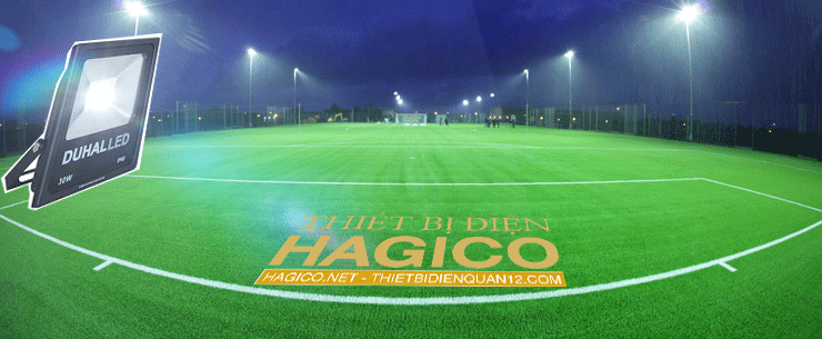 LED PHA DUHAL SDJD010 10W