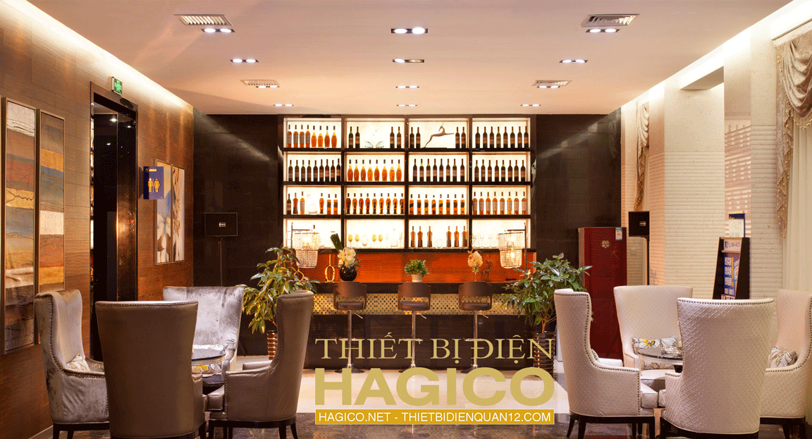 LED DUHAL ÂM TRẦN 21W DFC207